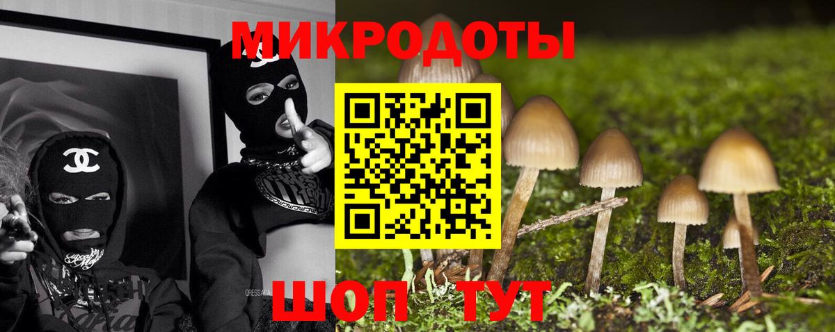 Галлюциногенные грибы Psilocybine cubensis  Вход с VPN  как найти наркотики  Петрозаводск 